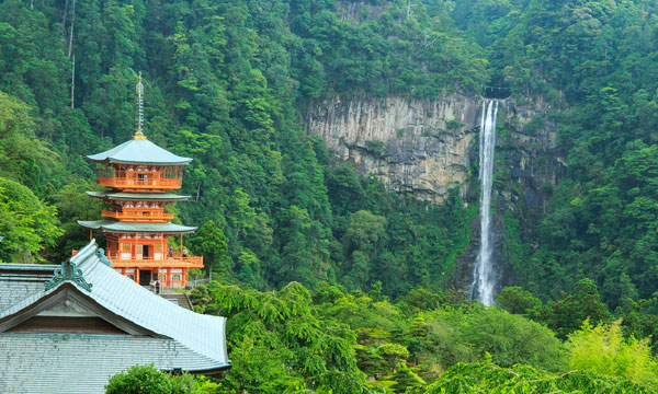 和歌山線（京成バス千葉イースト 成田空港営業所）